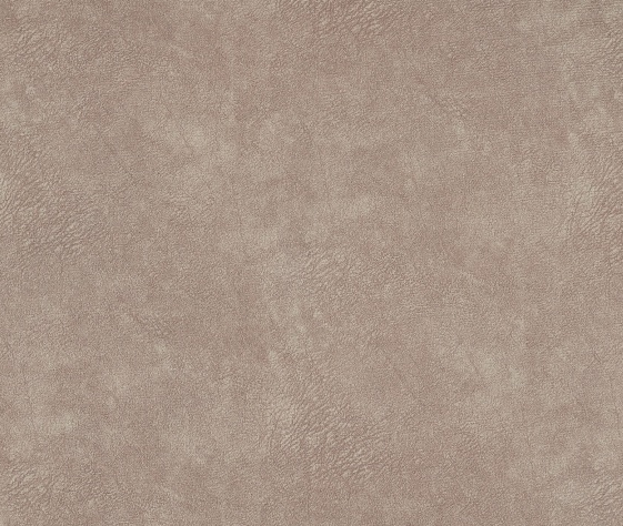 Меридиан 231